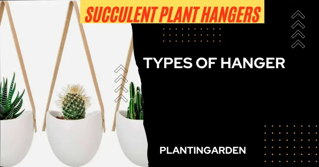Different type of hanging Hangers for Succulent Plant 